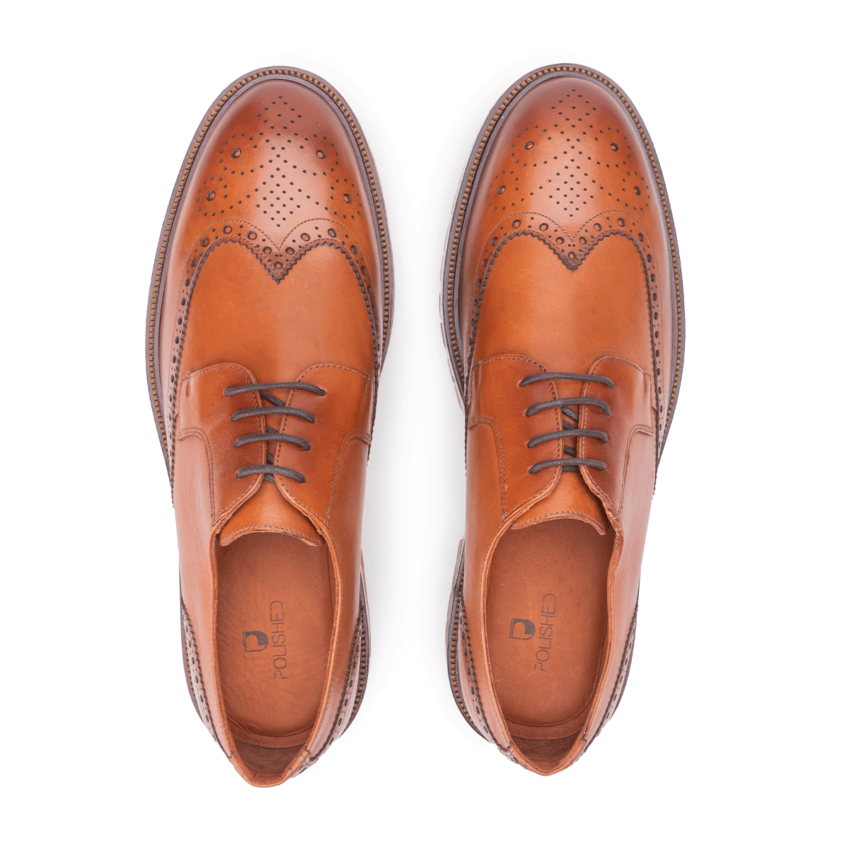 Top view of the Artelio Fifth Avenue terracotta leather wingtip derby with brogue detailing